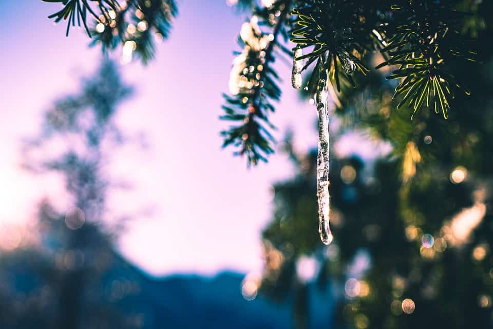 Transition hiver-printemps en douceur, pour les plus fragiles