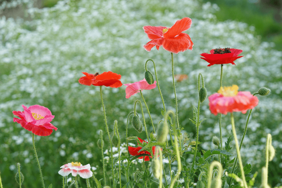 Introduire les couleurs du printemps grâce à des objets déco personnalisés